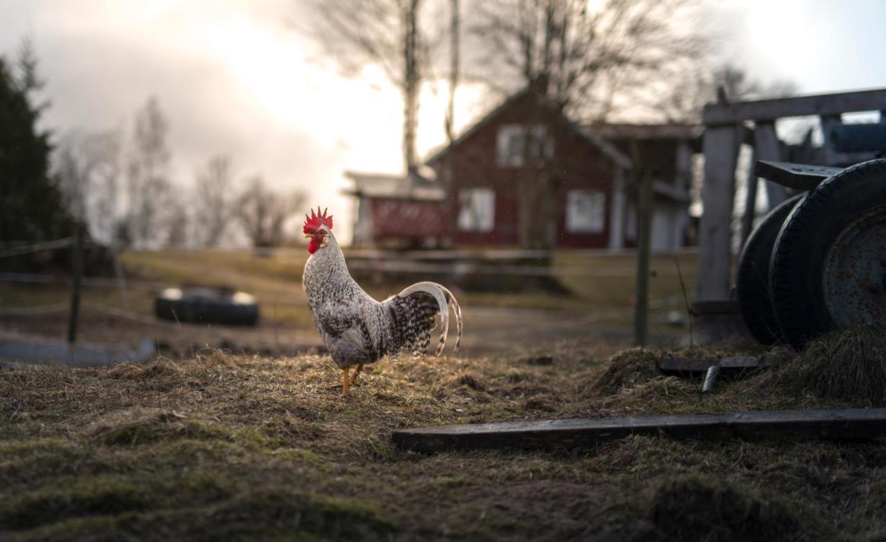 Lilla Trulsabo Villa Skillingaryd Buitenkant foto